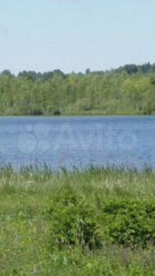 Участок 50 сот. (СНТ, ДНП)