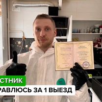 Уничтожение тараканов клопов. Дезинсекция