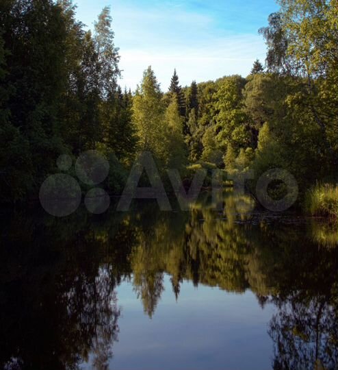 Участок 8 сот. (ИЖС)