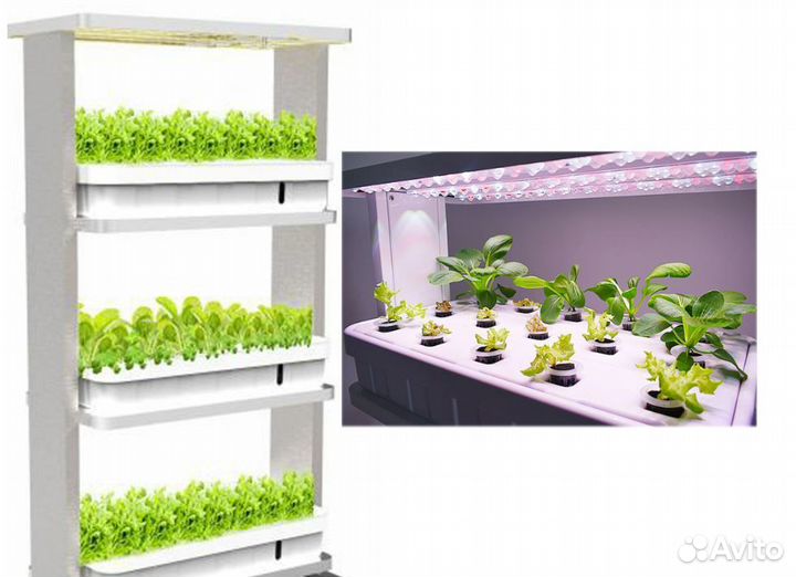 Фитолампа для микрозелени и зелени