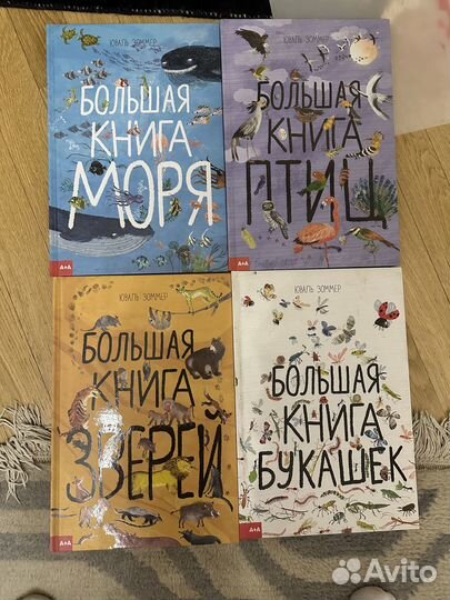 Большая книга