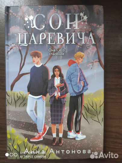 Сон царевича