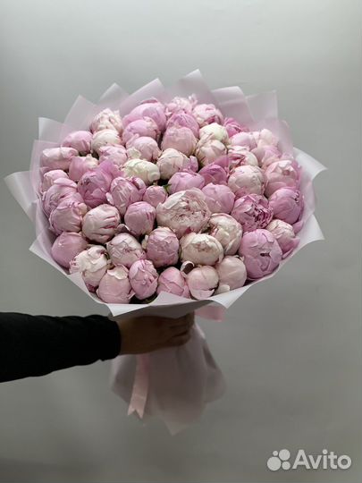Пионы 51шт с доставкой