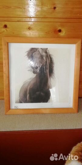 Постер в рамке