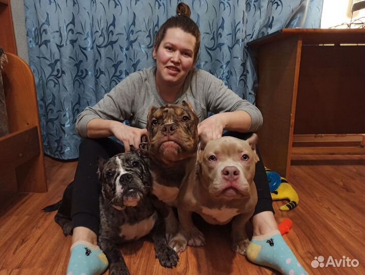 Гостиница для собак + груминг/экспресс линька