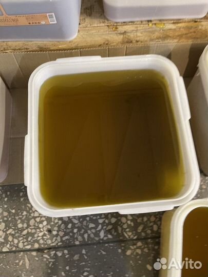 Алтайский мед оптом