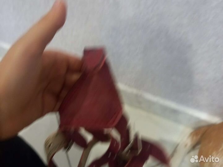 Шлейка для собаки