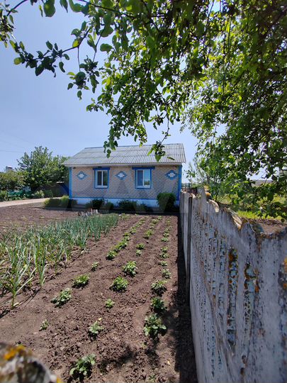 Дом 65 м² на участке 32 сот.