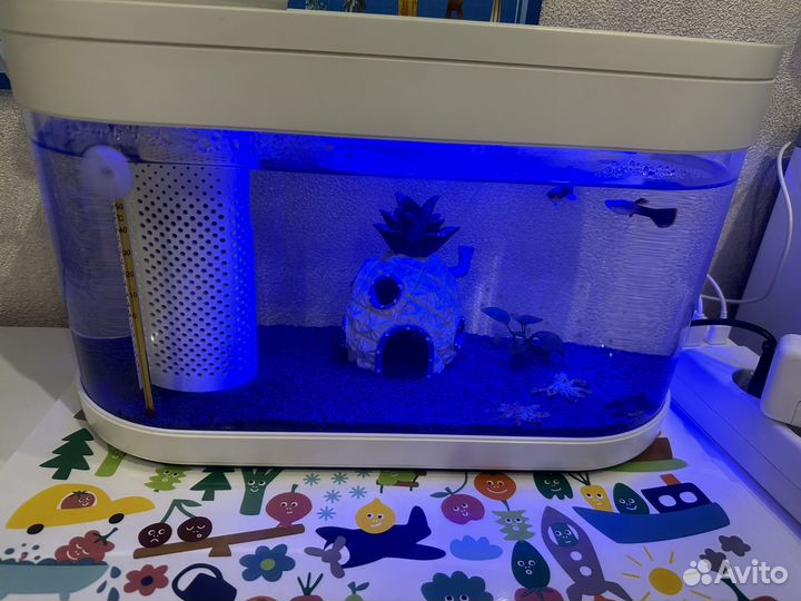 Аква-ферма Xiaomi