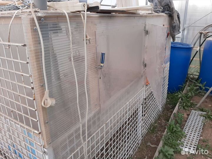 Брудер-курятник с выгулом