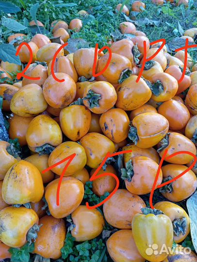 Продукты питания