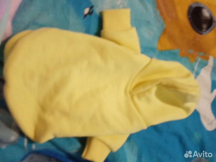 Одежда для собаки той-терьер