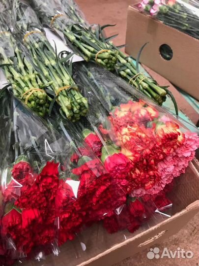 Гвоздика Оптом и в Розницу