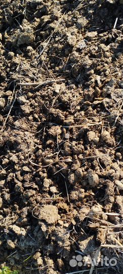 Конский навоз