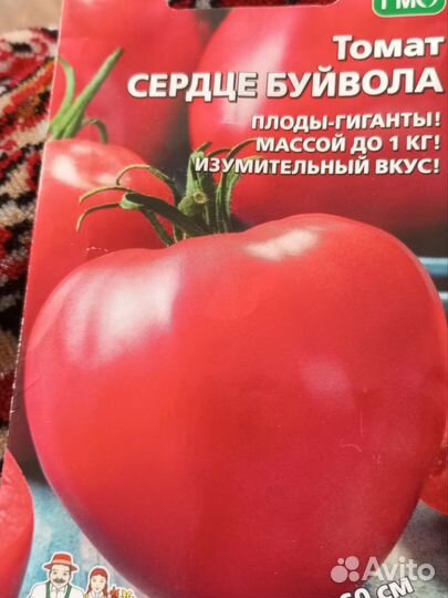 Рассада овощей