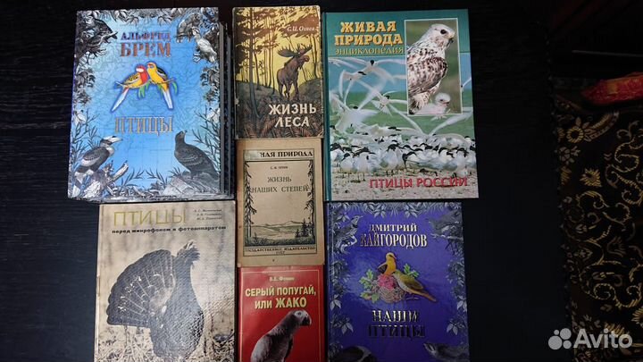 Птицы России. Книги по орнитологии