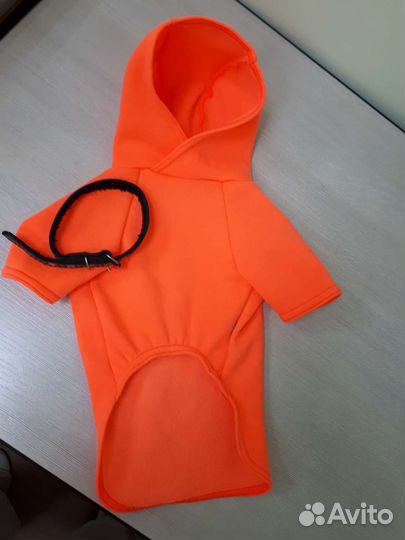 Одежда для маленьких собак