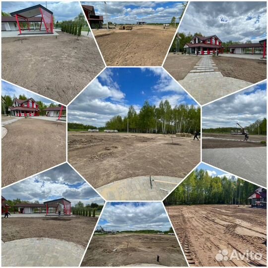 Рулонный газон