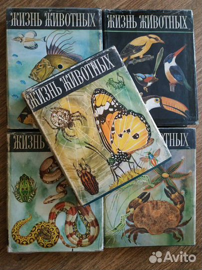 Энциклопедия жизнь животных