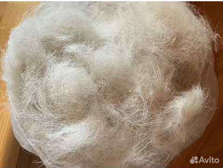 Вычес (шерсть, пух) белого алабая