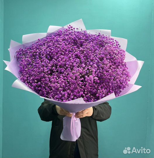 Гипсофилы / Цветы