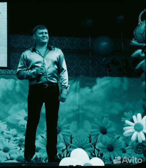 Певец, музыкант на День Рождения, Праздник