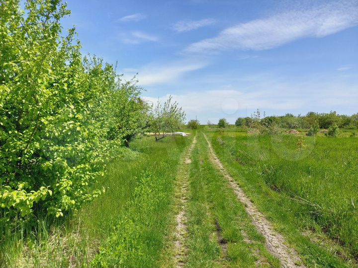 Участок 6 сот. (ИЖС)