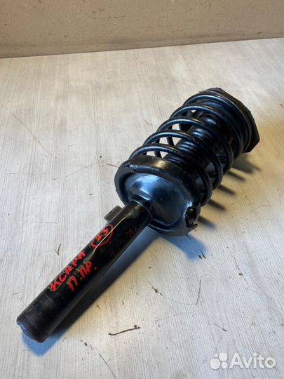 Амортизатор передний правый Citroen Xsara N1 TU3JP