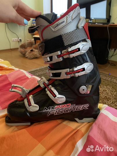 Горнолыжные ботинки fischer