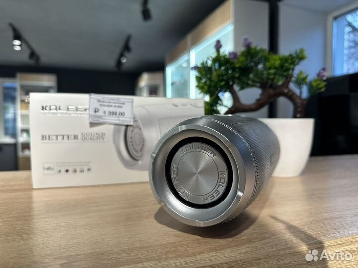 Портативная колонка S&H Koleer S1000