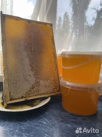 Мед. Мед с прополисом