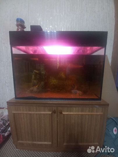 Аквариум
