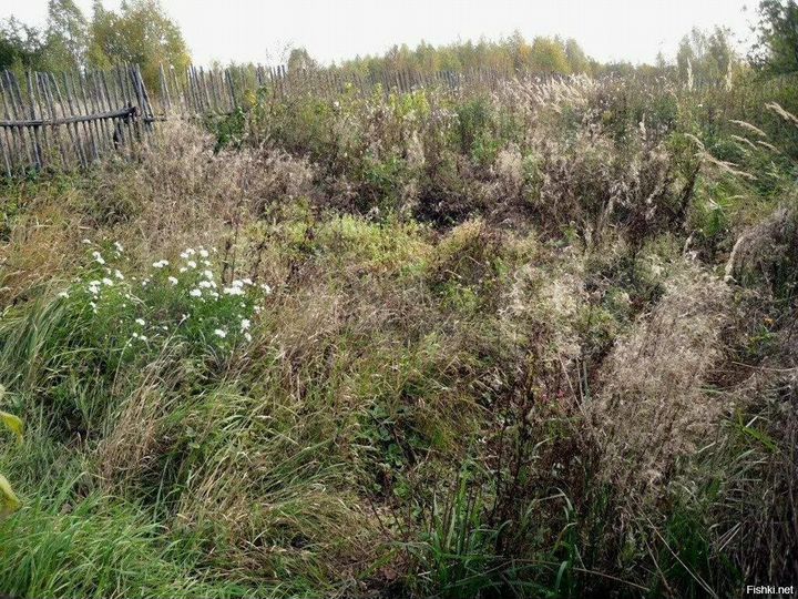 Участок 21 сот. (ИЖС)