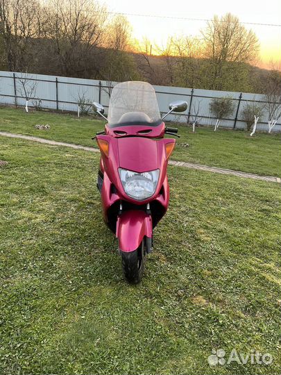 Honda fes250 foresight ex