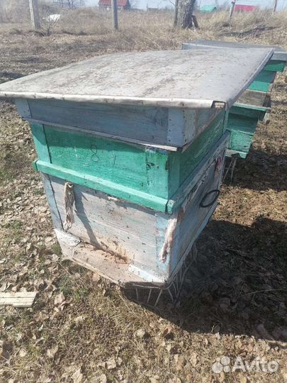 Продам пчелосемьи с ульями,рамками и с магазинами