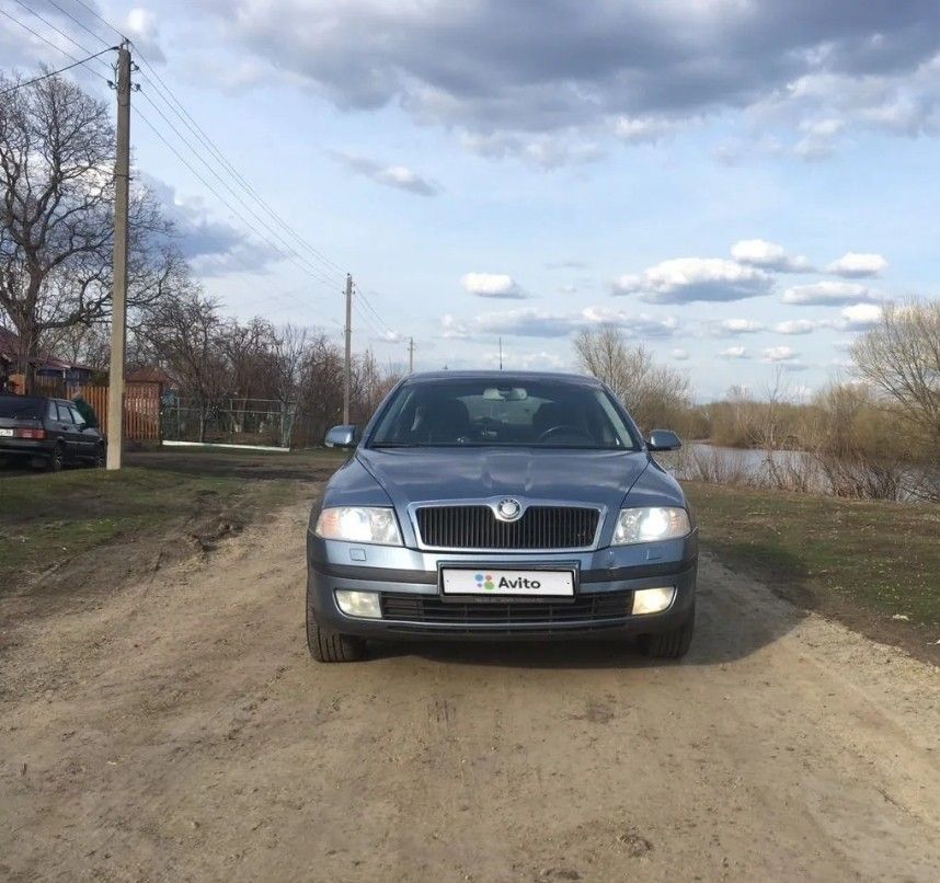 Skoda Octavia: фото владельца
