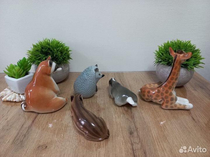 Анималистика (животные) лфз