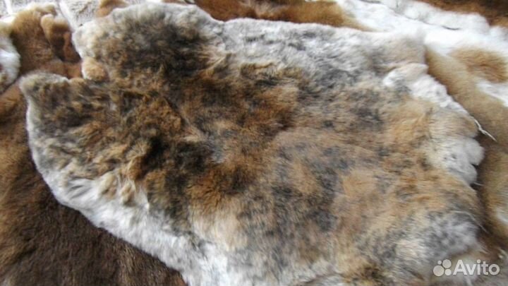 Мех кролика рекс