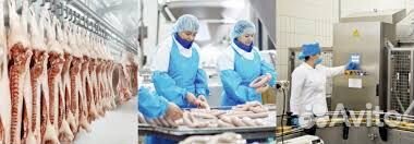 Мясоперерабатывающие производство вахта