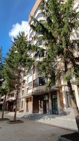 2-к. квартира, 67 м², 7/9 эт.