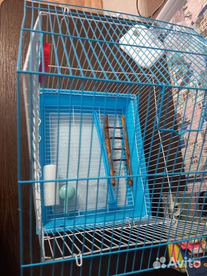 Клетка для попугая