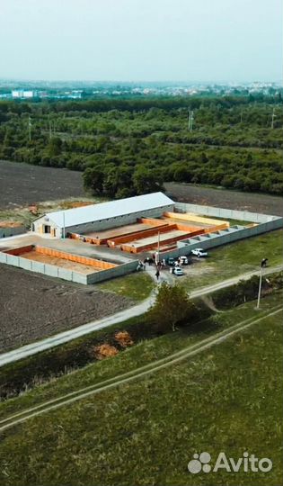 Прокат лошадей