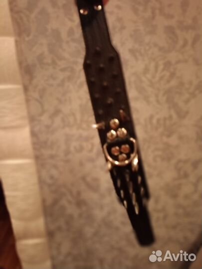 Строгий ошейник для собак