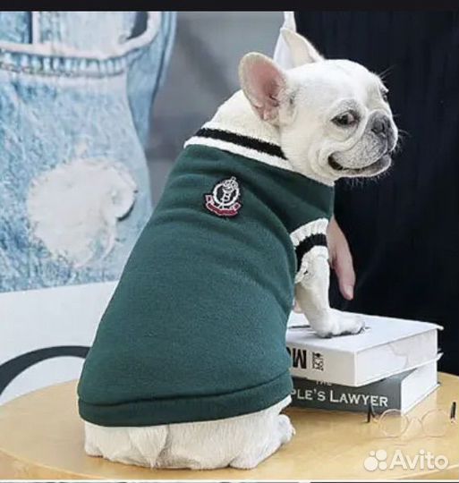 Жилетка для животных