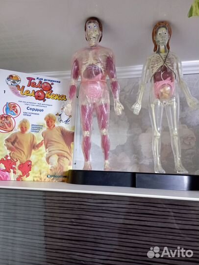 Сборник книг