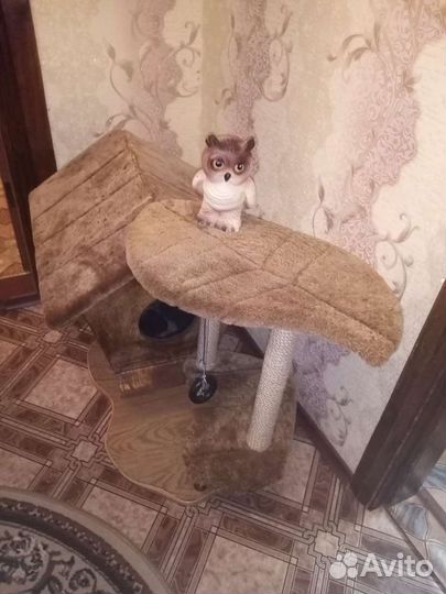 Домик когтеточка