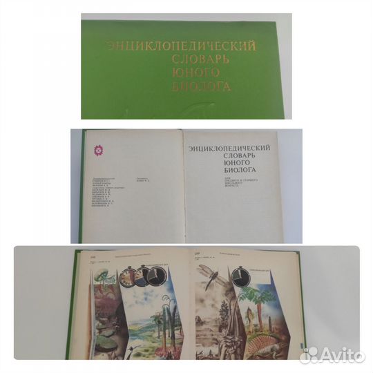 Словарь атлас учебное пособие