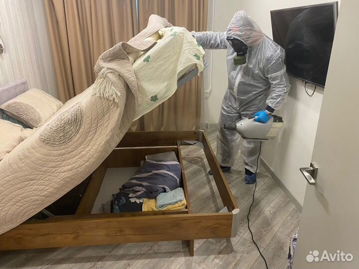 Уничтожение клопов, тараканов и муравьев