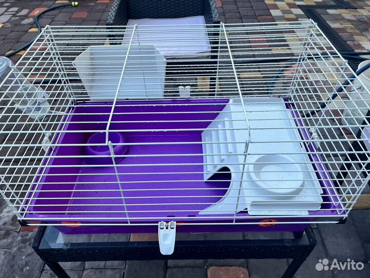 Клетка для морской свинки