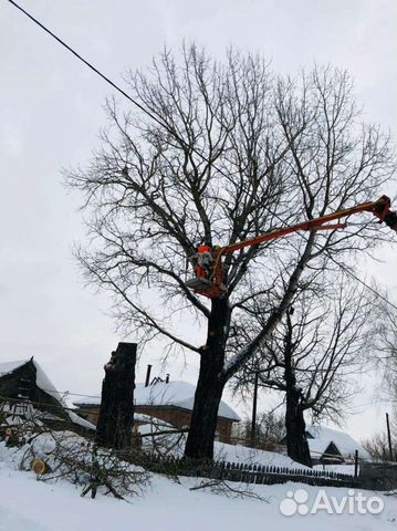 Спил деревьев кронирование